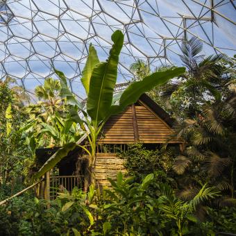 Malaysian House in Rainforest Biome at Eden Project